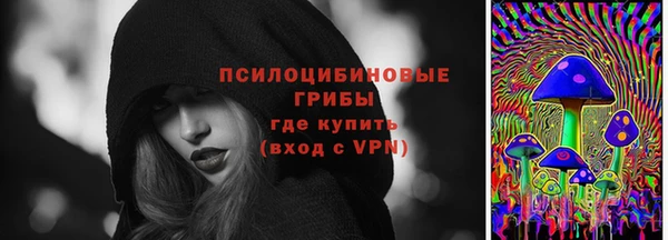 ПСИЛОЦИБИНОВЫЕ ГРИБЫ Балабаново