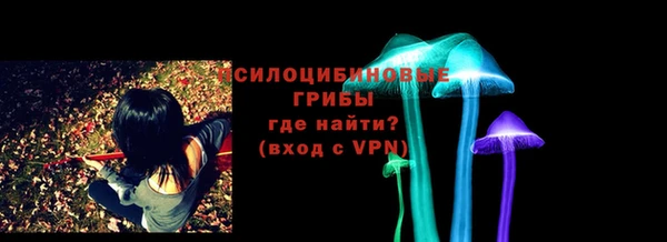 ПСИЛОЦИБИНОВЫЕ ГРИБЫ Балабаново