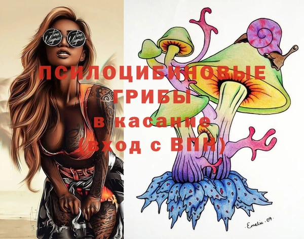 прущие крисы Балахна