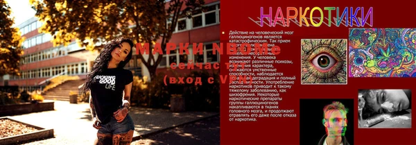 прущие крисы Балахна