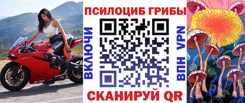 Псилоцибиновые грибы мицелий цены блэк спрут Онега